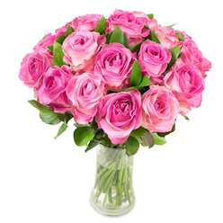 A full, rounded arrangement of about twenty-four pink roses is presented in a clear, gently curved glass vase, set against a clean white background that lets each petal colour sing. Every rose displays a soft gradient: the tight central spirals reveal richer magenta and fuchsia tones, which ease outward into delicate blush pink and sometimes almost cream on the outermost petals, giving each bloom depth and a soft luminous edge. The heads are packed close together to form a lush dome, while rich, mid-to-deep green foliage punctuates the mass of flowers, its smooth leaves cupping and lifting blooms for natural rhythm and breathability. The vase's transparency exposes trimmed green stems standing in clear water, the visual cue of freshness and careful preparation, and the even, bright lighting highlights petal folds and the velvet-like surface quality you'd expect from garden-grown roses. Described as a florist would for a visually impaired client, the arrangement conveys both warmth and restraint: a romantic, classic statement that reads as joyous rather than overwrought. It's an ideal pick for birthdays, anniversaries, or to mark a quiet celebration after a stroll around Clerkenwell and Leather Lane. The scent imagined is sweet and slightly fruity, the kind that floats softly upward in a calm room. Overall, the bouquet gives a confident, elegant impression - the work of hands experienced in balancing colour, volume and proportion for seasonal flowers.