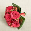 Seen from above against a pale beige background that resembles finely woven linen, this bouquet unfolds like a small, luxurious still life, the sort you might imagine being carried from a Clerkenwell townhouse to a registry office ceremony near Farringdon. At its core are several deep red roses, around five or six in full bloom, their petals spiralling outward in tight, flawless whorls. Each rose head appears full and velvety, the red so saturated it borders on crimson wine, giving the arrangement a distinctly romantic and timeless character. Tucked between these blooms are polished red Hypericum berries, rounded and glossy, their slightly lighter red tones introducing a flicker of brightness and a pleasing change in texture, like tiny jewels threaded through the bouquet. These berries sit naturally among the petals, adding depth without crowding the roses. Encircling everything, broad, dark green tropical leaves are curled and folded to create a smooth, structured cradle, holding the flowers in a compact, modern form. Their rich green sheen contrasts beautifully with the matte softness of the fabric backdrop and the satin of the blooms. Around the hidden stems, a coordinating deep red satin ribbon is wrapped tightly, its subtle sheen echoing the richness of the petals and giving a refined, finished feel, much like the tailored elegance of Clerkenwell's converted warehouses and studios. The soft, even lighting in the image draws out every contour-the curves of each petal, the reflection on each berry, the gentle veins in the leaves-without casting distracting shadows. The bouquet's overall impression is one of confident romance and quiet sophistication, ideal for weddings, anniversaries, or meaningful gestures delivered to homes and venues across Clerkenwell and nearby Smithfield.