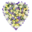 A densely packed heart-shaped floral tribute presented against a clean white studio background, the composition read like a quiet, tactile poem. The centre is layered with tightly furled cream and pale yellow roses - some in the softness of bud, others just beginning to unfurl - their petals creating a plush, velvety texture and gentle tonal warmth. Interwoven among the roses are clouds of ruffled white carnations that lift the surface with soft volume and a classic sympathy sensibility. Scattered through the design are delicate sprays of lavender-hued statice, their tiny papery blossoms adding an airy, whisper-light texture, and small daisy-like purple asters with bright yellow centres that punctuate the palette with cheerful, jewel-like points of deeper colour. Rounded blue-green eucalyptus leaves are placed at intervals, their silvery sheen and distinctive shape breaking the floral density while suggesting a cool, cleansing fragrance. The entire heart is neatly edged with a looped, rich purple satin ribbon, folded to create a refined, continuous border that defines the silhouette and lends a gentle formality. The arrangement reads as both meticulous craft and tender sentiment: the soft pastels and restrained pops of violet evoke calm, remembrance and consolation. It feels appropriate for a funeral service, wake or graveside tribute, where the compact heart shape speaks of enduring love and farewell. Imagining this piece arriving for a memorial in Clerkenwell, its quiet colours and textured layers would offer a soothing, dignified presence among family and friends, a floral language that honours memory without excess.