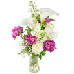 A graceful, upright bouquet sits in a clear, fluted glass vase against a clean white studio background, its presence quietly elegant and comforting. At the heart of the composition several ivory-white calla lilies rise on smooth, sculptural stems, their trumpet-shaped spathes curving with a satin sheen and soft green-yellow shading near the throat. Around them, sumptuous magenta peonies spill voluminous ruffled petals - two blooms flushed open with layered texture and deep jewel-pink centers, and one tight bud promising a later unfolding. Nestled lower in the grouping are creamy, traditionally formed white roses whose dense, concentric petals add a gentle, classical softness. Vertical stems of fragrant white stock (or snapdragon-like spires) thread upward, their clusters of small blossoms introducing height and a lightly peppered texture that contrasts the broad petals. Sprays of tiny white baby's breath float like a veil through the arrangement, and ferny, delicate green foliage together with a few broader leaves give natural structure and fresh contrast to the vivid flowers.

The transparent vase reveals clean-cut stems and clear water, reinforcing the bouquet's freshness; soft, diffused lighting catches petal edges and the glass rim, creating a calm, reflective mood. The scent is a subtle blend of peony sweetness and green stem notes that feels like an early summer morning. This design reads as thoughtful and composed - suitable for an intimate dinner, a bedside sympathy arrangement, or a serene anniversary gift - and it carries the quiet assurance of a carefully considered floral composition made for local Clerkenwell homes and offices near Exmouth Market and St John's Square.