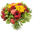 A hand-tied, rounded bouquet photographed against a clean white background, radiating the warm, comforting colours of autumn. At first glance the eye is drawn to several deep crimson gerbera daisies with broad, velvety petals and dark, slightly raised centres, their bold, graphic shapes anchoring the composition. Interlaced around them are intensely coloured red roses-some opening into layered, satin-like cups, others tight and budded-whose fragrance and rich texture feel almost palpable. Bright yellow spray chrysanthemums or similar small multi-petaled blooms are scattered through the mass of flowers, each compact cluster catching light and adding a cheerful, sunlit contrast to the deeper hues. Soft coral-pink roses lend a gentle blush that softens the palette, while slender red-and-orange alstroemeria (Peruvian lilies) with their delicate, often speckled petals introduce a star-like, lively rhythm. A varied assortment of foliage-glossy dark green leaves for depth, lighter green and subtly variegated foliage for texture-folds around the blooms, and several large, reddish-brown or bronze-toned leaves, reminiscent of fallen oak or maple, are deliberately placed to emphasise the seasonal, rustic note. The stems are neatly gathered and visible at the base as a fresh bundle of green stalks, confirming a classic hand-tied finish. Under soft studio light the petals hold a gentle glow and the arrangement reads as both celebratory and comforting. A florist in Clerkenwell might choose this as a Thanksgiving centrepiece or a harvest-season gift, perfect for bringing the tactile warmth of an autumn morning in Exmouth Market or Spa Fields into any home.