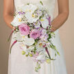 Captured at eye level, this image centres on a bride standing in her lace wedding gown, holding a luxurious cascading bouquet that seems to pour from her hands like a floral waterfall, the background blurred into warm beige tones reminiscent of sunlit Clerkenwell courtyards. The bride is visible from the waist up, sleeves and bodice adorned with intricate ivory lace that contrasts gently with the smooth petals of the flowers. The bouquet itself forms a graceful teardrop, overflowing with a romantic palette of white, blush, lavender, and electric fuchsia. Broad-faced white Phalaenopsis orchids dominate the design, their cool, satiny petals open wide to reveal soft yellow-gold centres that glow subtly in the light. Nestled between them are lush blush pink roses, their layered petals tightly frilled to create a sense of fullness and intimacy. Throughout the bouquet, clusters of light lavender stock weave in and out, lending a soft pastel haze and a slightly ruffled texture. Tiny stars of white baby's breath hover delicately above the main blooms, as if suspended in the air. From the lower edge, rich fuchsia trailing spikes, similar to amaranthus, cascade downwards, adding drama, movement, and an almost theatrical flair suited to a modern Clerkenwell townhouse wedding. At the tip of the cascade, small unopened orchid buds, fine stems, and scattered lavender florets create a natural, freshly gathered feel, as if the flowers were chosen that morning from a London flower market. The overall impression is of a refined, contemporary bridal bouquet, full of romance and movement, captured in an intimate, timeless moment.