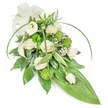 A serene, elongated teardrop spray in soft whites and vivid greens, photographed against a clean white backdrop. Creamy white roses, some fully open with gently layered petals and others still in tight bud, form the calm heart of the design, their scent faint and comforting like a quiet morning in Clerkenwell Green. Two sculpted white calla lilies rise with trumpet-shaped purity, their smooth curves introducing a modern, architectural note beside clusters of lime-green button chrysanthemums that resemble tiny textured spheres, lively against the pale florals. Wisps of baby's breath float between blooms, lending an airy, cloud-like softness that lightens the heavier shapes. The foliage is rich and varied: deep glossy leaves create a dense, lustrous base while variegated leaves with crisp white striping add subtle contrast and dimension; feathery fern fronds at the top suggest woodland freshness. Long, bright green blades arch gracefully across the composition, giving it movement and a sense of gentle flow as the arrangement tapers down to a large, broad tropical leaf that forms the smooth pointed tail. A tasteful cream fabric bow sits at the upper left, its matte texture a restrained, classical accent. The overall mood is dignified and calming, crafted with sympathy in mind and suited to funeral or memorial services in local churches or chapels around Exmouth Market and Farringdon. The bouquet looks hand-assembled with careful layering and soft diffused light that emphasizes texture and depth, offering a quiet visual comfort and understated elegance appropriate for remembrance.