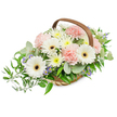 Soft and reverent, this hand-woven light-brown basket holds a composed arrangement of pale, comforting tones: several large, pristine white Gerbera daisies with deep brown-black centres stand as luminous focal points, their broad petals opening like quiet faces. Nestled around them are clusters of tender, light-pink carnations whose ruffled, frothy layers suggest gentle embrace and consolation. Flecks of small, daisy-like blooms in white and pale buttery yellow - likely spray chrysanthemums or asters - fill the spaces between the larger flowers, cushioning the composition and lending a soft, reassuring fullness. Tiny star-shaped accents in a cool lavender-blue slip through the greenery, offering restful contrast without breaking the subdued palette. The foliage is abundant and textural: rounded, silvery-green eucalyptus leaves give a clean, calming scent and modern outline, while glossy, dark-green ruscus trails slightly over the left side of the basket in an elegant cascade that suggests movement and grace. Other verdant leaves create a layered, verdant base that cradles each bloom. The basket itself is rustic yet refined, woven from pale wooden strips with a curved brown handle that arcs above the flowers like a gentle frame. Bright, even studio light reveals the tactile surfaces of petals and leaves with crisp clarity, making the arrangement feel fresh and cared-for. Thoughtfully arranged to convey sympathy, quiet respect, or solace, this basket reads as a tender tribute or a serene centerpiece for a memorial setting. Imagined as something you might see delivered to a family in Clerkenwell, it speaks of quiet comfort, pure intention, and understated beauty.
