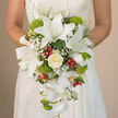 The image focuses tightly on a bride's hands and the sumptuous cascading bouquet she holds against the soft, off-white lace of her wedding dress, a style often requested by couples marrying around Clerkenwell Green. The bouquet forms a classic teardrop shape, beginning with broad, snow-white oriental lilies that dominate the upper section. Their smooth, slightly recurved petals reveal delicate reddish-brown speckles and prominent stamens, giving the flowers a natural, untouched beauty. At the centre glows a single creamy ivory rose, its layered petals unfolding with quiet elegance, surrounded by airy clusters of white baby's breath that appear like tiny stars scattered through the design. From the main body of flowers, long stems of white Phalaenopsis orchids flow downwards, their flat, rounded petals creating a gentle, cascading line reminiscent of water slipping over stone in one of Clerkenwell's hidden courtyards. Among the white blooms sit playful pompons of bright lime-green Green Trick dianthus, their fuzzy, cushion-like texture adding both movement and a contemporary edge. Scattered red hypericum berries punctuate the composition with cheerful bursts of colour, almost like tiny jewels tucked amongst foliage. Fine wisps of green and darker leaves weave between the flowers, giving structure and depth without overwhelming the serene palette. The bouquet feels fresh, cool, and exquisitely balanced, the sort of handcrafted piece a local Clerkenwell florist might design for a refined city wedding, where the bride wants both timeless romance and a hint of modern, urban flair.
