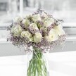 A serene bouquet of creamy white roses and lilac-tinted limonium rests in a clear cylindrical glass vase, glowing softly as if placed near a Clerkenwell townhouse window on a calm morning. Each rose is fully open yet still composed, its petals forming a gentle spiral that catches the light in shades of ivory and warm cream. The blooms look velvety to the touch, edges smooth and unblemished, revealing the careful selection and conditioning that went into the arrangement. Around them, airy sprays of limonium, dusted in pale lavender and soft lilac, create a mist-like halo that softens every outline and gives the bouquet a dreamy, almost floating quality. The feathery filler threads between the roses, filling spaces without crowding them, and adding a delicate, cloud-like texture. Stems are clearly visible through the glass, a clean vertical pattern of cool green immersed in clear water, suggesting freshness and longevity. The overall palette is restrained yet expressive: white, cream, and lavender working together to evoke peace, comfort, and quiet hope. The scene feels intimate and reflective, perfectly suited to a moment of condolence, a quiet bedside in a Clerkenwell apartment, or a thoughtful gift delivered to an office just off Exmouth Market. There is an underlying sense of gentle fragrance-light rose with a whisper of herbal notes from the limonium-suggesting an atmosphere of clarity and stillness. Every element, from the precise height of the roses to the soft cascade of filler, conveys the steady hand of an experienced local florist, creating a bouquet that offers solace, gratitude, and a refined, modern elegance.