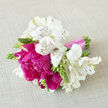 A hand-tied bouquet is captured in serene, natural light, as if placed on a linen-draped table in a Clerkenwell studio overlooking St John's Square. The arrangement balances classic charm with a modern twist: crisp white alstroemeria open gracefully around the edges, their petals finely streaked with maroon, giving each bloom a sense of individuality and quiet elegance. At the heart of the posy, rich magenta-fuchsia peonies take centre stage, their plush, layered petals softly cupped and slightly tousled, suggesting movement and joy. Fresh green buds and shoots peek between the flowers, adding structure and a sense of life still unfolding, like new growth in nearby Spa Fields in early summer. The stems are gathered firmly yet gently, wrapped in a silky blush-pink ribbon that lies smooth against the hands, implying considered craftsmanship from Clerkenwell Flowers. Delicate shadows fall across the understated fabric beneath, accentuating the bouquet's rounded, slightly informal shape and enhancing its depth. Visually, the palette is cool and bright, a calm contrast to the lively streets leading towards Farringdon. Imagined fragrance drifts from the flowers - a sweet, light perfume mingled with greenery, reminiscent of a garden after a soft shower. This posy feels ideal for a bridesmaid walking through a local registry office, or as a token of gratitude delivered to a studio on Clerkenwell Road, radiating optimism, appreciation, and the beauty of blooms curated with care.