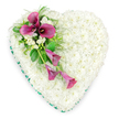 A generously sized heart-shaped floral tribute is shown from a top-down view, set against a clean white background that highlights its graceful outline. The heart is completely filled with countless small white spray chrysanthemums, tightly massed so that not a single gap of greenery shows through, giving the impression of a plush, velour-like cushion of pure white. Around the outer edge, a continuous ribbon of saturated emerald green wraps neatly, its satin surface catching the light and creating a subtle contrast between the crisp border and the soft interior. Draped across the upper left side of the heart is a striking diagonal spray of deep magenta and fuchsia pink calla lilies, which sweeps gently towards the lower centre. At the top of this cluster, several calla lilies are fully open, their sculptural trumpet forms embracing dark central spadices that stand out dramatically against the white chrysanthemum base. Below them, one or two slimmer lilies arch downwards, partially unfurled and adding a feeling of gentle movement, as if the flowers have been laid there with great care. Nestled among the lilies are dainty white blooms, likely freesia, their fine petals and airy clusters adding both visual softness and a suggestion of delicate fragrance. Surrounding the focal spray, a mix of lush, glossy leaves and feathery, fern-like foliage provides depth, framing the rich colour of the lilies and tying them back to the green ribbon edge. Designed with quiet reverence by local Clerkenwell florists who regularly create tributes for services near nearby churches and crematoria, this white and pink floral heart speaks of sympathy, gratitude, and unwavering love.