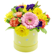A festive Easter hatbox design bursts with colour and texture, captured against a pure white background that allows every detail to stand out clearly, much like a bright flower stall glimpsed off Exmouth Market. The arrangement is shaped into a full, rounded dome, conveying generosity and celebration. At the very centre, a large soft pink Gerbera daisy opens wide, its petals neatly layered around a light green eye, creating a calm, steady focal point. Radiating out from it, clusters of sunshine-yellow chrysanthemums provide most of the brightness, their fine, plentiful petals giving a lively, almost sparkling effect. Nestled among these are ruffled coral-orange carnations, whose gently frayed petals lend a sense of movement and softness, as though the bouquet has a quiet, fluttering energy. To balance the warm tones, rich violet-purple lisianthus blooms are placed thoughtfully through the design, their deeper colour adding dimension and a slightly more sophisticated note. Fresh greenery fills the spaces between flowers, including some variegated leaves with pale edges that catch the light and add visual interest without overwhelming the blooms. The flowers sit snugly in a cylindrical pastel lime-yellow hatbox, smooth-sided and contemporary, decorated with scattered pastel Easter eggs in shades of pale blue, pink, white, and soft green, some delicately patterned with dots and stripes. This playful detail underlines the seasonal feel, suggesting egg hunts, family gatherings, and cheerful brunches in Clerkenwell flats. The overall impression is of a joyful, modern Easter arrangement, ideal as a centrepiece on a kitchen table near Farringdon, a gift to brighten a studio overlooking Clerkenwell Green, or a welcoming accent in a local office reception area.