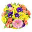 Viewed from directly above on a spotless white background, this mixed bouquet resembles a bright, joyful circle of colour, the kind of design you might find carefully laid out in a Clerkenwell flower studio. The blooms are packed closely together so that petals touch and overlap, creating a lush, abundant feel with no empty spaces. Towards the lower centre, a striking pink gerbera daisy becomes the natural focal point, its smooth, symmetrical petals forming a gentle ring around a slightly raised, greenish-yellow centre that catches the light. Radiating around and beyond it, golden-yellow chrysanthemum daisies form a vivid halo, their slender, radiating petals and rounded centres giving off a lively, sunlit energy. Threaded through this brightness, rich indigo-purple lisianthus blossoms appear in various stages of opening, from tightly furled buds to fully opened blooms that reveal velvety inner petals and delicate stamens. Coral-orange carnations, with their layers of finely frilled petals, add a soft, textured contrast, curling and folding in intricate ruffles that suggest movement, like the buzz of Clerkenwell streets at lunchtime. Fresh green foliage frames the flowers from below, some leaves solid and glossy, others lightly variegated with pale edges that subtly brighten the greenery. The soft, even lighting emphasises the colour contrasts and velvety textures without harsh shadows, letting each bloom stand out clearly against the clean white ground. This composition of gerbera, chrysanthemums, lisianthus, and carnations conveys a mood of celebration and optimism, perfect for sending cheerful wishes, congratulations, or a bright pick-me-up to a home or studio near Exmouth Market or St John's Square.