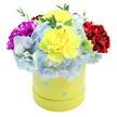 A bright, cheerful hatbox bouquet captured against a clean white backdrop: two large, ruffled lemon-yellow carnations sit at the heart of a round pastel-yellow box, their finely serrated petals catching soft light and radiating warmth. Encircling and underpinning those central blooms are generous clusters of powdery periwinkle-blue hydrangea, each tiny floret forming a cloud-like mass that cools the palette and offers a velvety contrast to the carnations' textured frills. To the left a bold magenta-fuchsia carnation leans into the composition with saturated intensity, while a deep, velvety crimson carnation balances the right side, providing visual weight and a touch of drama. Slender sprigs of fresh green foliage peek through the blossoms, their glossy veining and crisp edges adding life and quiet movement. The cylindrical box is a soft lime-yellow paperboard, whimsically dotted with irregular pastel spots in pale blue, blush pink and mint green; several spots bear tiny white speckles that suggest handcrafted detail and a playful, springtime mood. The bouquet's scent is gently floral with the faint, spicy note carnations sometimes carry, and the overall effect is one of uplift - a gift that feels both elegant and accessible. This compact, dome-shaped arrangement reads as a joyful present for birthdays, a sunny get-well surprise, or a thoughtful thank-you, perfect for brightening a flat near Clerkenwell Green or a studio by Exmouth Market. The hand-composed balance of texture, colour and form makes it a dependable choice for anyone who wants to send cheer in a neat, stylish package.