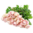 A bountiful collection of light blush roses is displayed in a loose, fan-like spread across a pure white background, forming a soothing cascade of pastel petals ideal for a sympathy tribute. Approximately two dozen roses are gathered together, their blooms touching and overlapping so that the eye moves smoothly from one flower to the next. The colours are soft and nuanced: a base of gentle pink with hints of champagne and dusty rose, fading to almost creamy white at the edges, while faint lavender shadows nestle in the deeper folds of the petals. Some roses are still elegantly furled, promising openness, while others have unfolded into classic spirals, each velvety layer lying neatly upon the next. The blossoms are supported by a network of long, straight stems and deep green leaves that add structure and quiet strength, much like the solid brick facades along Clerkenwell Green on a reflective evening. The foliage is lush but not overpowering, its darker tones framing the flowers and heightening their delicate glow. Soft, diffused light bathes the entire arrangement, creating an atmosphere of calm clarity, as if the bouquet has just been set down in a peaceful room overlooking Farringdon's cobbled streets. There are no decorative accessories, no visible vase-only the honest beauty of fresh roses, thoughtfully arranged. This image captures the essence of a condolence bouquet crafted for delivery across Clerkenwell, offering a gentle, respectful way to send love, support, and remembrance when someone is grieving.