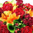 In this image, a richly detailed bouquet of red roses and orange lilies spills across the frame, its colours and textures layered with the precision of an experienced Clerkenwell florist. At the heart of the arrangement, large, fully opened red roses reveal their intricate spirals of velvety petals, each bloom a deep, romantic crimson that feels both classic and luxurious. Surrounding and weaving among them, bright orange lilies stretch their broad, satiny petals outward, some gently curling at the edges, adding a sense of upward lift and joyful energy reminiscent of a summer sunset over nearby Clerkenwell Green. Scattered between these focal flowers are clusters of smaller burgundy roses and rosebuds, their darker hues lending subtle shadows and a vintage, almost cinematic mood. The roses and lilies are cradled by abundant greenery: broad, glossy leaves create a strong, supportive base, while finer, more feathery foliage threads through the bouquet, softening its lines and adding a natural, garden-inspired feel. One prominent leaf in the foreground curls into an elegant arc, drawing the viewer's attention into the depth of the arrangement and hinting at the florist's care for each stem's natural shape. Nestled among the petals, lustrous ruby-red hypericum berries provide a playful pop of shine and texture, their rounded forms echoing the rose centres and catching the light like tiny jewels. The overall composition is dense, full, and deliberately generous, as if intended to make an immediate impact on a hallway console in a Clerkenwell apartment or at a small gathering space off Exmouth Market. It conveys warmth, passion, and celebration, perfect for marking an anniversary, sending congratulations, or bringing a burst of colour to a grey London day.