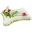 A tender, pillow-shaped funeral cushion composed entirely of tiny, snow-white chrysanthemums, each bloom packed closely to create a seamless, cloud-like surface that invites the eye and suggests comfort. The rectangle is edged with a pleated pale lime green satin ribbon that catches soft light and gives a subtle, frilled definition to the form. On the upper left a composed cluster of accent blooms rises gently from the chrysanthemum field: two open white Oriental lilies revealing their pale yellow stamens, a gracefully furled lily bud, and rich, deep burgundy spray carnations that offer a warm, velvety contrast. Varied green foliage - feathery fern tips and broader salal leaves - frames the cluster, their textures shifting from glossy to soft matte and adding depth to the composition. From that left grouping a single slender arch of salal or decorative wire curves across the cushion, drawing the eye toward the right where a solitary deep red rosebud rests, its velvety petals just beginning to unfurl like a quiet, resolute heartbeat. The lilies bring a faint spicy-sweet perfume while the chrysanthemums hold a cool, clean scent; together the bouquet reads as peaceful and respectful. Bathed in neutral daylight against a white background, this arrangement conveys purity, remembrance, and gentle solace. As a local Clerkenwell-style sympathy piece, it would feel at home placed near St John Street or Exmouth Market during a memorial service, offering a dignified expression of condolence and lasting affection for those gathered to remember a loved one.