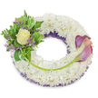 A serene, circular sympathy wreath composed of a dense, cloud-like ring of small white chrysanthemums that form a plush, velvety base; the tightly packed florets read as soft texture and quiet purity. Beneath the white surface a delicate swathe of deep purple netting or ruffled mesh peeks through along the inner curve, giving subtle depth and a respectful hint of colour. On the upper-left quadrant an intimate cluster sits like a quiet accent: a single cream-to-pale-yellow rose at full, gentle bloom is cradled by fresh green foliage - broad, variegated leaves with paler edges and feathery fern fronds - while narrow sprays of lavender-hued statice add a silvery, papery texture and a calming cool note. Balancing this composition on the right are two sculptural calla lilies that arc gracefully from about two o'clock to five o'clock; their trumpet forms show a painterly gradient, from a concentrated deep purple at the tips down through peachy-pink and soft blush near the bases, their bright green stems curving along the lower-right arc and visually linking the two main floral groupings. A single longer green stem, secured discreetly, crosses the lower wreath to meet the callas and complete the flow. Presented against a clean white background and lit with soft, even daylight, the arrangement feels dignified and consoling, the faint scents of chrysanthemum and rose suggesting gentle comfort. Crafted with the care of a neighbourhood florist, this wreath is a thoughtful choice for memorial services in the Clerkenwell area, often sent to funerals or graveside remembrances near Clerkenwell Green or St. John's Church.