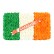 A detailed overhead view captures a rectangular floral tribute designed as the Irish tricolour, its entire surface covered with small, evenly arranged blooms that create a soft, tactile landscape. On the left third of the tribute, a densely packed field of rich green flowers forms a deep, velvety block of colour, with no gaps or visible stems. The middle third is an immaculate stretch of pure white flowers, their layered petals giving a gentle, cushion-like appearance that suggests calm and contemplation. On the right, a band of bright orange flowers provides a warm, glowing contrast, their tones reminiscent of late afternoon sunlight and quiet family gatherings. The tribute lies against a plain white background, allowing the clear geometry and strong colour contrast of the Irish flag to stand out. A glossy coral-red ribbon runs diagonally across the arrangement, cutting gracefully through the white and orange sections. Its satin texture catches subtle highlights, and along its length the word GRANDAD appears in bold silver capital letters, confidently legible and visually centred. Several small white pins, almost like tiny buttons, discreetly anchor the ribbon without disturbing the floral surface. The design feels both formal and heartfelt, suitable for an Irish grandfather's funeral or memorial service in Clerkenwell, perhaps after relatives have gathered from nearby streets around Hatton Garden or Rosebery Avenue. The tribute expresses a powerful combination of personal devotion and shared heritage, as though it carries with it the voices, stories, and gentle humour of family members saying a final, loving goodbye.