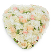 Seen from a gentle overhead viewpoint against a stark white backdrop, this heart-shaped floral composition radiates tender calm and careful craftsmanship. The surface is densely covered with a choreography of fresh roses - from tightly furled buds to fully opened blooms - in a refined palette of radiant white, creamy ivory, pale peach and soft blush pink. Interwoven among the roses are billows of white hydrangea clusters whose many small florets create a plush, cloud-like texture that softens the heart's silhouette. Small flashes of deep green, variegated foliage peek through at the edges and between blossoms, offering a cool counterpoint that brings out the warmth of the peach and pink tones. The arrangement's three-dimensional form is subtly emphasised by a soft shadow beneath its lower rim, and a faint suggestion of natural light from above gives petals a satiny sheen and a hint of translucence. There is a subtle perfume in the imagining - the clean, familiar scent of garden roses tempered by the almost-green freshness of hydrangea and leaves - suggesting a quiet, comforting presence. Hand-shaped with meticulous attention to spacing and balance, the heart reads both as a romantic emblem and as a solemn tribute, equally suited to vows and anniversaries or to a peaceful memorial service. The overall effect is one of composed elegance and compassionate intention, a premium, fresh-cut floral art piece that communicates warmth, remembrance and the soft gravity of affection without ostentation.