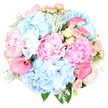 The photograph captures a dreamy round bouquet in soft pastel tones, set against a crisp white backdrop that recalls the clean gallery spaces tucked around Clerkenwell. At its core, large blush pink peonies bloom in full splendour, their many ruffled petals layered so densely that each flower looks like a delicate, cushioned cloud, evoking vintage romance and gentle celebration. Interwoven among them, abundant heads of sky blue hydrangeas create an airy, cloud-like halo, each floret blending into the next to form a soothing wash of blue that adds both volume and calm. Between these larger blooms, dainty spray roses in blush pink and creamy yellow are nestled close, some still in tight buds, others softly opening, their petite size lending intricate detail and an almost storybook charm, as if chosen for a celebration on a quiet street off St John's Square. Rising with sculptural grace, several hot pink calla lilies arc from the arrangement, their sleek, trumpet-shaped blooms introducing bold colour and smooth lines that contrast with the bouquet's otherwise ruffled textures. Soft silvery Dusty Miller foliage with its velvety, lobed leaves mingles with deeper green leaves, offering cool tonality, depth, and a gentle frame that keeps the pastels from feeling too sweet. The whole design forms a balanced, rounded shape, every stem placed with intention, suggesting the hand of a skilled local florist. The bouquet's mood is serene yet joyful, perfect for romantic gestures, anniversaries, chic birthday gatherings, or as a stylish centerpiece in a Clerkenwell apartment, expressing affection, gratitude, and quiet sophistication.
