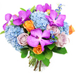 A luxurious, hand-tied bouquet is captured against a crisp white background, each bloom standing out with clarity and depth. At the centre and scattered thoughtfully throughout are dramatic Vanda orchids in rich shades of fuchsia and deep magenta, their broad petals adorned with fine white speckling and a checkered pattern that gives them a distinctive, artistic character. These exotic flowers rise gently from a generous base of sky-blue hydrangeas, whose soft, rounded clusters of tiny florets create a plush, cloudlike cushion and lend a soothing coolness to the composition, reminiscent of early morning light over Clerkenwell's quiet side streets. Nestled between these main elements, roses contribute both warmth and romance: lively orange roses unfurl in bright, joyful spirals, suggesting celebration and energy, while dusty lavender and mauve roses introduce a tender, nostalgic feel. Slim sprigs of deeper blue accent flowers, similar in form to delphiniums, peek through the design, adding flickers of vertical movement and a richer blue tone that deepens the overall colour story. Surrounding everything is a frame of lush green foliage, with broad, glossy leaves and softer greenery that enhance the sense of freshness, as if the bouquet had just been arranged for same-day delivery to a nearby Clerkenwell office or apartment. The stems at the bottom are cleanly cut, aligned, and tightly bound, giving the arrangement a compact, domed silhouette that feels both modern and timeless-perfect for birthdays, anniversaries, or simply bringing a touch of floral artistry into everyday life.