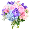 A lavish, rounded bouquet is shown against a pristine white background, every flower standing out with clarity as if arranged in the soft natural light of a Clerkenwell apartment. Dominating the centre, large, fluffy peonies in a tender shade of light pink unfurl in generous layers, their ruffled petals creating a voluptuous, romantic focus that suggests the height of spring. Nestled closely around them, voluminous heads of sky-blue hydrangeas form a supportive base, each tiny floret contributing to a cloud-like mass that brings cool serenity, much like the calm pockets of green around Spa Fields. Threaded throughout the bouquet are vivid Vanda orchids in a rich violet-purple, their flat, open faces and distinctive speckled markings injecting a sophisticated, modern note that catches the eye. Sculptural calla lilies in blush pink and peach twist gracefully through the design, their smooth, trumpet-shaped blooms offering gentle arcs and a satin finish that contrast beautifully with the more textured petals of the hydrangeas and peonies. Small clusters of pale pink spray roses, with petals still tightly furled, are tucked in between, adding a sense of delicate intimacy and classic romance. Fresh, dark green foliage peeks from beneath and between the blossoms, giving depth and structure, while silvery-grey Dusty Miller leaves introduce a velvety, frosted texture that feels cool and refined, echoing the understated elegance of local Clerkenwell venues. The stems are neatly bound at the base, ready for hand delivery to homes, studios, or restaurants across EC1. Altogether, the arrangement radiates graceful joy and polished beauty, perfect for anniversaries, weddings, or heartfelt congratulations.