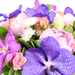 Photographed against a pristine white backdrop, this hand-tied bouquet glows with the kind of refined colour harmony you might expect from an experienced florist working just off Clerkenwell Road. At its heart, dramatic Vanda orchids in vivid lavender and deep amethyst-purple command attention, their broad petals patterned with intricate netted veining that catches the light and adds a sense of exotic luxury. Embracing these bold orchids are generous peonies, fully open and lush, their many-petalled blooms drifting through shades of soft ballet pink to warmer blush rose, creating a plush, almost pillowy texture that softens the whole design. Between them, pink roses appear in various stages of bloom: petite, tightly curled buds that hint at fragrance to come, alongside fully unfurled light pink roses whose classic spiral of petals brings a romantic, familiar touch. Dotted among the pinks and purples are bright white pom-pom chrysanthemums, or similar small, spiky blooms, whose crisp, star-like forms provide little bursts of light and liveliness, reminiscent of sun on the pavements around Clerkenwell Green. A generous collar of glossy green foliage envelopes the flowers, with a mix of deep emerald leaves and a few softly variegated edges that add depth and natural freshness. The bouquet is densely packed yet carefully balanced, suggesting celebration and generosity-perfect for wedding mornings, milestone birthdays, or a same-day delivery to a studio or apartment near Farringdon. The mood is joyful but composed, pairing the drama of exotic orchids with the tenderness of peonies and roses, creating an arrangement that feels both modern and deeply comforting, like a heartfelt gesture brought to life in flowers.