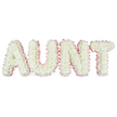 The photograph shows a serene funeral flower tribute spelling out AUNT in large, three-dimensional block letters, carefully arranged against a pure white studio background. Every letter is completely covered with white chrysanthemum blooms placed so closely that they form an unbroken field of petals, giving the piece a luxuriously full and gently rippled appearance. The chrysanthemums have neat, daisy-like faces with multiple fine petals, and the occasional hint of pale yellow at the centre lends a touch of warmth to the otherwise cool, clean palette. Running around the outer edges of each letter is a softly ruffled pastel pink satin ribbon, pleated and curved to follow the contours and corners of the word. This blush-pink edging provides a delicate frame, like a tender embrace around the name AUNT, and introduces a feminine, affectionate note that many families in Clerkenwell choose to reflect the character of a dearly loved relative. The satin has a subtle sheen under the bright, even lighting, which also highlights the natural texture and freshness of the flowers. The letters stand in a straight line, evenly spaced so that the word is clear and impactful, ready to rest upon a hearse, memorial stand, or graveside setting at a local church or crematorium near Clerkenwell. The overall mood of the design is calm and respectful, with the white flowers symbolising purity and peace, and the pink ribbon quietly suggesting love and tenderness. It feels like a thoughtfully created local tribute, meant to honour an aunt's memory with beauty, dignity, and heartfelt care.