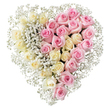 Softly romantic heart-shaped funeral tribute, crafted from roses and baby's breath and captured against a pure white background that gives the design a calm, almost floating quality. The heart itself is full and well balanced, with no gaps or irregular edges, suggesting careful, experienced workmanship. It is visually split into two equal rose-filled halves: the left half is composed of countless creamy white to pale yellow roses, nestled closely together so the viewer sees a continuous field of gentle, luminous blooms. Each rose shows its swirling centre and rounded petals, contributing to an impression of peace and purity. On the right half, equally abundant medium pink roses mirror this density, their soft, rosy hue bringing warmth and a sense of affectionate remembrance. Woven throughout both rose sections, and especially concentrated along the central line where cream meets pink and along the outline of the heart, are airy sprays of white baby's breath, or gypsophila. These tiny, star-like blossoms provide a delicate contrast to the larger roses, adding fine texture and a sense of lightness, like a soft breath over the design. The composition feels particularly suited to a farewell tribute in Clerkenwell, perhaps chosen by family or friends who wish to honour a loved one with a symbol of shared love and unity. Although the image shows no ribbons or inscriptions, the clarity of the heart shape and the thoughtful balance of colours communicate a message of tenderness, gratitude, and lasting connection, as might be arranged by a devoted local florist familiar with the community's quieter, more reflective occasions.