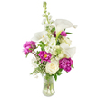 A joyful, celebratory bouquet captured against a clean white backdrop: tall, sculptural white calla lilies rise like porcelain trumpets from the centre, their smooth, trumpet-shaped blooms and pale yellow spadices giving the composition a modern calmness. Around them, lush magenta peonies burst open with velvety, ruffled petals - two fully open heads anchor the lower half while a smaller tight bud on a stem hints at more blooms to come. A single creamy white rose rests near the base, its tightly spiralled petals lending a classic note that contrasts beautifully with the more flamboyant peonies. A vertical spire of white stock provides delicate clustered florets and a soft, textural lift that draws the eye upward; tiny sprays of baby's breath are gently woven through the stems, adding an airy, cloud-like filigree. Rich green foliage - a mix of slender fern-like fronds and broader leaves - frames the flowers and makes the magenta and white sing against the clear glass vase. The vase itself is gently curved and full of water, the stems visible and precisely placed to feel fresh and authentic, catching soft studio light that highlights petal texture and subtle shadows. If you imagine this on a dining table in Clerkenwell or placed on a mantel near Exmouth Market, it reads as both refined and approachable - a bouquet suited to birthdays, anniversaries, or to say thank you with quiet exuberance. As a florist would note, the scent is a gentle interplay of cool calla freshness and the honeyed sweetness of peonies, making this arrangement both a visual and fragrant invitation to celebrate.