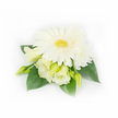 A compact, elegant corsage arranged on a pristine white background: at its heart sits a single, fully open white Gerbera daisy, petals radiating like soft paper and surrounding a textured yellow-green disc that suggests fresh citrus and sunlit mornings. Clustered around and beneath the Gerbera are creamy Eustoma (Lisianthus) blooms and buds-two flowers partially unfurling to reveal ruffled, ivory-to-pale-buttery petals, their edges whispering delicate movement. A smaller layered white daisy or chrysanthemum peeks from the upper right, adding a subtle secondary focal point and gentle fullness. Several slender, light green lisianthus buds-some tightly closed, others just beginning to breathe open-introduce a sense of growth and promise. Broad, deep emerald leaves cradle the cluster, their glossy surfaces and sturdy veins providing a rich, calming contrast to the soft whites and creams. On the right side, a few tiny pearl beads catch the light and glimmer faintly, a discreet nod to formal wear and bridal detail that makes this piece suited to lapels or wristwear. The lighting is diffuse and soft, casting almost no shadow so the textures-the velvety petals, the waxy leaves, the smooth sheen of the pearls-remain the focus. This composition reads as cool and refined: a boutonnière or corsage that evokes dew-fresh mornings and understated celebration. As a local florist familiar with Clerkenwell's quieter corners-from Exmouth Market to Charterhouse Square-I imagine this delicate piece accompanying a spring wedding or intimate ceremony, its white and green palette offering calm, measured elegance and a tactile, almost scented promise of new beginnings.