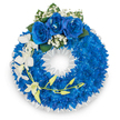 A large, circular sympathy wreath in an intense blue-and-white palette sits against a clean white background, its composition speaking of calm dignity and careful craft. The broad body of the ring is formed from a dense, continuous carpet of electric royal-blue chrysanthemums - small, closely packed petals creating a plush, almost velvet texture that catches the light and gives the circle visual depth. At the crown of the wreath three full-blown royal blue roses form a gentle focal point; their velvety petals are unfurled in confident blooms and are softened by tiny clusters of pure white baby's breath and a few deep green leaves, which lend natural contrast and a pause of quiet green. From the left flank a graceful spray of white orchids, likely Phalaenopsis or Dendrobium, descends in an elegant curve; their broad, porcelain-like petals and slender stems introduce a delicate vertical movement that eases the eye away from the solid blue mass. Interwoven among the orchids is a thin stem bearing pale yellow-green buds, a hint of unfolding life and subtle colour transition. The wreath's inner circumference is neatly finished with a ruffled white satin ribbon, its crisp texture framing the open centre with a formal edge. Soft studio lighting reveals the flowers' textures and a faint, clean floral scent seems suggested - a blend of chrysanthemum sweet green notes and cool orchid freshness. Designed as a memorial tribute, the arrangement radiates serenity, remembrance, and understated respect, a composition that comforts without excess and honours memory through considered proportion and sympathetic floral choices.