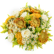 Against a clean white background, this autumn-inspired bouquet glows as if illuminated by the late-afternoon sun slanting across Clerkenwell's rooftops. At its centre, large chrysanthemums in burnished gold, rich amber, and deep bronze provide a warm, almost firelit core. Some of these chrysanthemums are densely petalled and round, each layer forming a soft dome, while others display that intriguing, crested texture in mustard yellow and tobacco brown, their folds reminiscent of sculpted velvet. Threaded throughout are several creamy white roses, their petals unfurling in gentle spirals that bring calm sophistication and a hint of traditional romance to the design. Small, daisy-like clusters-resembling feverfew or chamomile-are interspersed among the larger flowers, their pure white petals and bright yellow centres dotted like tiny lanterns, suggesting wild hedgerows you might imagine along quieter lanes near Spa Fields. Lacing the bouquet together are airy sprays of lime-green, feathery foliage similar to solidago, shooting out in light, graceful arcs that introduce a fresh, meadow-scented note and keep the arrangement feeling open and lively. The bouquet is shaped in a rounded, generous form, dense with interest but never overcrowded, each flower given room to be seen. With no vase visible, it appears as a hand-tied bundle ready to be carried through the streets from a local Clerkenwell florist to an office near Farringdon or a cosy flat overlooking St John's Square. Visually, it suggests comfort, celebration, and quiet strength-a golden, textural embrace that would sit beautifully on a dining table or sideboard as the evenings draw in.