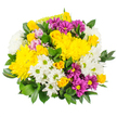 A bright, uplifting bouquet of yellow, white, and purple flowers is pictured against a simple white backdrop, allowing every detail of the design to stand out clearly. At its core are generous bright yellow chrysanthemums, some fully unfurled into broad, fluffy discs and others still gathering at the centre, which creates a sense of depth and a tactile, almost cushion-soft appearance. Nestled among them are short stems of yellow spray roses, each cluster offering a mix of tight buds and partially opened blooms, their layered petals suggesting a gentle, romantic softness. White daisy-like flowers with pale green centres are scattered throughout, their neat, radiating petals giving the arrangement a fresh, crisp quality, like a breath of cool air along Clerkenwell Green on a clear morning. Rich purple and magenta daisy chrysanthemums weave through the yellows and whites, their warm yellow centres mirroring the larger chrysanthemums and providing a pleasing visual rhythm that pulls the eye around the bouquet. Here and there, you can glimpse a blush of soft pink or lavender bloom, subtly tempering the brighter tones and lending the arrangement a slightly more delicate side. All of this colour rests upon a generous base of dark, glossy greenery-leaves akin to Ruscus or Salal-whose smooth, deep green surfaces add structure and a rounded silhouette, making the bouquet look full and bountiful without feeling heavy. Crafted with an easy, joyful charm, this arrangement reflects the kind of cheerful, budget-friendly bouquet you might choose to brighten a flat near Old Street, send as a simple well done, or welcome someone home with a touch of everyday celebration.