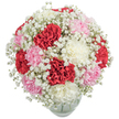 Designed to evoke delight and affection within the heart of Clerkenwell, this harmonious bouquet offers a masterful blend of texture, colour, and light. Lush carnations in radiant red, creamy white, and soft blush pink anchor the arrangement, each bloom's ruffled, layered petals reminiscent of fine fabric seen in boutiques along Leather Lane. Encircling the vibrant core, baby's breath unfurls with an airy, cloudlike presence-tiny white blossoms that catch and reflect sunlight, much like early spring dawns in local garden squares. The ensemble, cradled in a clear glass vase with water glinting at the edges, radiates freshness and sincere celebration. The contrast between the bold carnations and ethereal gypsophila gives the arrangement a soft yet memorable impact-perfect for honouring a birthday, recognizing a milestone, or simply brightening a workspace within Clerkenwell. The bouquet's gentle fragrance and inviting beauty capture both tradition and contemporary flair, making it a fitting tribute to the area's artistic and welcoming atmosphere.
