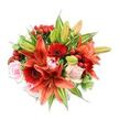 Viewed against a stark, clean white backdrop and lit as if by soft morning light, this lush, rounded bouquet reads like a painter's study in warmth and texture. Large Asiatic lilies in a fiery orange-red take centre stage, some petals fully unfurled to reveal faint dark speckling and prominent stamens with deep anthers, while a few buds stand poised to open, promising more colour to come. Nestled among them are bold, crimson Gerbera daisies whose many slender petals radiate from darker, almost black centres, creating a lively contrast of form and depth. Soft blush-pink roses-some tightly furled, others opening in gentle spirals-introduce a tender, romantic counterpoint, their velvety petals catching the light differently from the papery lilies. Scattered throughout, glossy red Hypericum berries glint like small jewels, adding festive punctuation and a slightly waxy texture against the smoother petals. The composition is richly supported by an abundance of foliage: broad, solid green leaves give the bouquet weight and a deep backdrop, while a few variegated leaves with pale green and white streaks lift the overall palette and add visual movement. The arrangement's dense, full silhouette and carefully varied heights show a skilled hand at work-each bloom placed to balance colour, scent and line. Close to the stems you can imagine the mixed scent-sweet rose, a hint of spice from the lilies, and the fresh green of crushed foliage. This bouquet conveys warmth and celebration and would suit anniversaries, a joyful home refresh, or a thoughtful gift delivered across Clerkenwell and neighbouring Finsbury, bringing a burst of seasonal brilliance into any room.