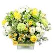 A bright, uplifting bouquet sits proudly in a clean, square glass vase, its rounded form and fresh palette of yellow, white, and green capturing the gentle energy of a sunny morning in Clerkenwell. At its heart, golden yellow roses unfurl in various stages of bloom, from tight buds hinting at promise to fully opened flowers with layered, velvety petals. Among them, smaller yellow spray roses fill the gaps, creating a tapestry of soft, sunlit tones. White pompom chrysanthemums, densely petaled and perfectly rounded, tuck between the roses like little cushions of light, offering a calm counterpoint to the bolder yellow. Scattered throughout are bright lime green button chrysanthemums and larger, softly ruffled pale green blooms, their cool tones and frilled edges suggesting fresh spring growth, much like the greenery around nearby Spa Fields or along St John Street. The bouquet is framed by abundant foliage: broad variegated leaves with pale edges, sleek dark green leaves, and fine, feathery stems of filler greenery that give the arrangement an airy outline. Tiny star-like white filler flowers are dotted across the design, adding specks of brightness and extra texture. The clear vase reveals the straight stems inside and is dressed at its centre with a rustic band of woven natural material, overlaid by a slim lime ribbon that pulls the whole colour story together. Set against a crisp white background, every flower and leaf stands out clearly, conveying feelings of happiness, renewal, and thoughtful care. It's the sort of design that would look at home on a Clerkenwell kitchen table or meeting room sideboard, perfect for birthdays, thank-you gestures, or simply brightening a flat near Exmouth Market.