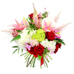 Captured against a crisp white background, this lavish hand-tied bouquet feels like a burst of celebration held in both hands. At its heart, velvety deep red roses form rich, passionate centres, their petals layered densely to create a sense of depth and intensity. Rising among them, graceful pink lilies stretch outward, some fully open with wide, star-like petals revealing pale, softly speckled throats, others still in firm buds that promise fragrance over the coming days. Around this central drama, billowing clusters of ruffled white blooms-evoking hydrangeas or generous carnations-build a soft, cloud-like foundation that makes the surrounding colours appear even more vivid. A distinctive tuft of lime green dianthus or carnation sits prominently near the middle, its bright, mossy texture offering a fresh, contemporary accent reminiscent of Clerkenwell's creative studios and gallery spaces. Airy plumes of blush-pink astilbe float outward, lending a feathery lightness and a sense of movement, as though a gentle breeze had passed through. Threaded discreetly among the larger flowers are small clusters of fuchsia and lavender blossoms, adding tiny sparks of colour that reward a closer look. Deep green foliage frames the entire arrangement, its polished leaves peeking through to ground the palette in natural richness. The stems are left visible and neatly arranged, secured at the base by a slender red satin ribbon that signals a skilled, hand-tied finish, the kind you might collect from a trusted Clerkenwell florist on your way through Farringdon. Radiating warmth, romance, and joy, this bouquet would suit birthdays, anniversaries, or simply brightening a modern loft or office near Clerkenwell Green with a generous splash of colour.