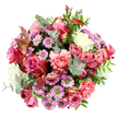 A richly detailed, top-down photograph reveals a perfectly rounded bouquet displayed on a pure white background, its colours glowing as if in soft daylight. At the centre, generous roses in saturated fuchsia, deep pink, and whispered blush shades bloom fully open, some petals fading to creamy, almost porcelain edges that lend a feeling of refined elegance. Around them, plush peach-pink carnations, full of delicate ruffles, create a soft cushion of texture that invites the eye to linger. Threaded throughout the bouquet are daisy-like chrysanthemums in shades of lavender and soft purple, their distinctive lime-green hearts standing out like tiny beacons of brightness. These are interspersed with creamy white, multi-petalled blossoms that bring a clean, luminous contrast to the warmer tones, ensuring the composition feels light and uplifting rather than heavy. The flowers are cradled by a thoughtfully chosen mix of foliage: round eucalyptus leaves in muted silvery green fan gently outward, adding cool tonal contrast and a sense of movement, while deeper green leaves give depth and a natural frame. Slender, reddish-pink striped leaves weave through the blooms, their slightly dramatic colour echoing the bolder roses and hinting at a late-summer or early-autumn mood, not unlike an evening stroll through Clerkenwell's quiet side streets near Clerkenwell Green. The bouquet as a whole feels like an affectionate embrace, ideal for marking birthdays, saying thank you, or sending a romantic surprise to a flat overlooking Farringdon's rooftops, its artistry captured in every overlapping petal and carefully placed stem.