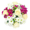 Captured from a bird's-eye view, this rounded bouquet forms a dense, harmonious circle of cream roses, white chrysanthemums, and vibrant fuchsia spray chrysanthemums, meticulously arranged in a style familiar to local Clerkenwell florists. The creamy roses stand as soft focal points, their petals unfurling in smooth, layered spirals that create a sense of calm luxury at the centre of the design. Surrounding them are numerous daisy-like white chrysanthemums, their cool white petals forming tight clusters that look almost like a cloud of blossoms, each one centred with a small yellow-green disk that gives the bouquet a fresh, lively sparkle. Threaded between these whites, accents of magenta and fuchsia spray chrysanthemums weave in and out, some fully open with detailed radial petals, others still in compact buds, adding depth, rhythm, and striking colour contrast without overwhelming the soothing whites. Here and there, discreet glimpses of dark green foliage peek from beneath the flower heads, suggesting the natural stems and lending the arrangement a grounded, garden-fresh character. Set against a simple white background, the bouquet appears as if floating, its colours and textures clearly defined, with gentle, even lighting that enhances the softness of the petals. The overall impression is joyful yet composed, like something you might place on a table in a Clerkenwell townhouse, an office near Old Street, or a café corner off St John Street. It feels appropriate for birthdays, thank-you gestures, or just-because moments, offering a blend of warmth, cheerfulness, and understated elegance that would brighten any local London space.