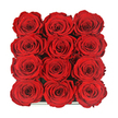 Seen from directly overhead, the photograph captures a meticulously structured arrangement of twelve red roses, each bloom nestled closely within a dark, understated box, forming a precise 3x4 rectangle of rich colour and texture. The roses themselves are full and perfectly poised, with petals that unfurl from tight central whorls into generous outer layers, creating a series of soft spirals that seem almost carved from velvet. Their red is deep and opulent, evoking ruby glass in candlelight, with highlights skimming the petal edges while shadows gather in the inner folds, lending depth and a quiet sense of drama. Because the blooms are set so tightly together, the eye reads the arrangement as a continuous field of crimson rather than separate stems, and the minimal glimpse of the dark box at the bottom edge acts like a discreet frame around a floral artwork. The overall feel is contemporary and romantic, perfectly suited to the atmosphere of Clerkenwell's mix of historic streets and modern design studios. You can imagine this box of roses resting on a polished table in a converted warehouse near Exmouth Market, or arriving as a surprise at an office close to Old Street, where its compact luxury would make an immediate impression. Crafted by an experienced local florist, the uniformity of the rose heads and their careful spacing reflect both technical precision and an understanding of how powerful a simple, disciplined composition can be. This arrangement speaks fluently of enduring affection and thoughtful generosity, ideal for anniversaries, creative celebrations, or quiet, meaningful gestures shared in the heart of EC1.