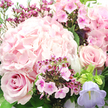 In this close-up floral portrait, a softly romantic bouquet in shades of pink and lavender fills the image with gentle colour, like a quiet afternoon in Clerkenwell after the rush has passed. The focal point is a generous hydrangea head in light blush, occupying the centre and upper left; its countless small petals cluster tightly together, creating a pillowed, cloud-like texture that feels both full and weightless. Just below it on the left, a deeper blush rose unfurls in a classic spiral, its velvety petals edged with soft shadows that emphasise their curves. On the mid-right, another rose in similar tones opens gracefully, echoing the same refined form and adding visual balance. Threaded between these statement blooms are clusters of tiny, more intensely coloured flowers-fuchsia and magenta, likely phlox or waxflower-each one a small star or flat five-petaled disc with a darker centre, adding fine, intricate detail and a playful burst of richness. Towards the lower right, a delicate, bell-shaped flower in pastel lavender, probably campanula, leans gently outward, introducing a cool lilac accent that harmonises with the sea of pink. Deep green leaves and slender stems curve around and beneath the blossoms, giving structure and a fresh, garden-like backdrop reminiscent of the greenery in nearby parks and courtyards. The overall lighting is soft and natural, catching just enough on the petals to highlight their sheen and subtle texture. The bouquet feels tender and serene, perfectly suited to a thoughtful anniversary, a new baby celebration in Clerkenwell, or simply brightening a friend's flat with a sense of quiet, fragrant comfort.