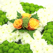 A dignified floral cross, inspired by the colours of the Irish flag, rests as though waiting to be carried into a Clerkenwell memorial service. The cross is completely enrobed in white chrysanthemums, each bloom with fine, delicately layered petals that together form a smooth, cushion-like surface. The whiteness is clean and bright, giving the tribute a feeling of purity and peace, like a crisp winter sky over nearby Exmouth Market. Along the outline of the cross and in rounded groups on the arms and foot, clusters of lime-green button chrysanthemums rise slightly above the white base. These small, perfectly round blooms look almost like textured velvet buttons or tiny moss domes, adding a lively, natural contrast. At the heart of the cross, where eye and emotion are drawn first, three roses sit proudly. Their colours shift from a rich, deep orange in the centre to a softer golden yellow at the edges, creating a warm, glowing focal point that stands out against the snowy backdrop. Surrounding the roses are touches of bright green filler and a ring of darker green, fern-like foliage that frames them gently, softening the transition into the chrysanthemums. The composition is carefully balanced, suggesting the steady hands of a skilled florist used to preparing funeral crosses and Irish-themed tributes for local families. This piece would feel at home in a Clerkenwell church, crematorium, or family gathering, offering a message of comfort, remembrance, and quiet pride in heritage.