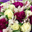 In this close-up, eye-level shot, the bouquet appears as a carefully composed cloud of creamy white and rich berry-toned blooms, as though just finished on a workbench in a Clerkenwell studio. Several white roses form the calm focal point, their petals unfolding in neat spirals from tight centres to softer, open edges, with some showing a gentle wash of buttercream yellow deep within the heart of the flower. Wrapped around them are deep magenta and velvety purple carnations, their densely ruffled petals curling and overlapping in layers, giving the arrangement a tactile, almost fabric-like richness. Weaving through the composition, white alstroemeria blossoms extend their slim, trumpet-shaped petals, each one patterned with delicate lines and speckles of raspberry and burgundy, adding a touch of wild elegance and fine detail. Fresh green foliage breaks up the blooms, broad leaves arching between the flowers to create contrast and definition, preventing the colours from blending into one another. The entire arrangement is held together by a soft lavender and muted purple wrapping, glimpsed at the borders of the frame, which gently supports and echoes the cooler tones without overpowering the whites and creams. The light is gentle and even, capturing every petal and fold clearly, giving the bouquet a feeling of freshness and immediacy, as if ready for same-day delivery to an apartment near Farringdon, an office off Clerkenwell Green, or a hidden café around St John's Square. It conveys warmth, appreciation, and thoughtful care, suitable for birthdays, thank-yous, or simply brightening someone's day.