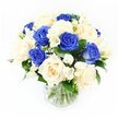 A calm and composed sympathy bouquet of rich blue and creamy ivory roses is presented in a simple clear glass vase, standing against a bright white background that emphasizes its cool, soothing palette. Roughly half of the roses are a deep royal blue, their velvety petals creating a striking, almost regal presence that suggests loyalty, respect, and enduring memory. The remaining blooms are soft cream, their layered petals diffusing the intensity of the blue with warmth and quiet tenderness. Nestled among the roses, white freesias extend gracefully, their slender stems bearing small trumpet-shaped flowers and buds that introduce gentle movement and a sense of breath within the design. Tiny heads of baby's breath appear throughout like scattered stars, adding a light, airy texture that softens the bolder rose shapes. Deep green leaves frame and support the arrangement, their rich colour and smooth surfaces grounding the cooler hues and giving the bouquet a well-rounded form. The clear vase reveals the gathered stems, neatly trimmed and resting in clear water, underlining the honest, unfussy character of the piece. Consistent, diffused lighting across the image highlights the natural curves of each petal and the faint sheen of the foliage, leaving no distractions from the flowers themselves. The overall effect is one of serenity and composed grace, well suited to offering sympathy or remembrance without being heavy or sombre. Created by florists in Clerkenwell who work closely with local families and funeral directors, it feels appropriate for delivery to homes, chapels, or quiet reception spaces where a gentle expression of care is needed.